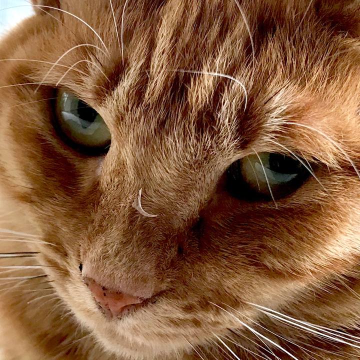 0f8cf600 54a4 48b5 9fe8 09681d2b9234 1541853627794