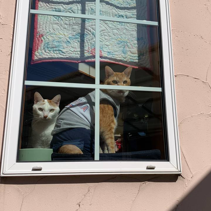 0f8d0152 9e76 4a7c be8e 4faf43c424e2 1603596658815