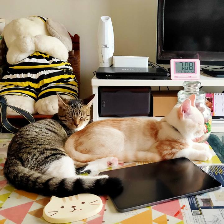 0f8d07ca d01f 433a a821 e08d664c5505 1630879818970