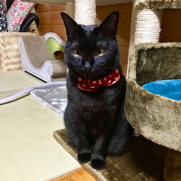 0f8d07ed b137 4002 8632 2d03cecccfc3 1521984180119