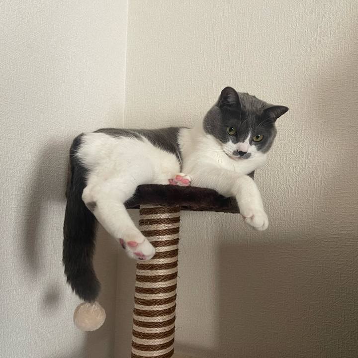 0f8d39be a6cc 4f42 a00b a28632e63c61 1673737058615