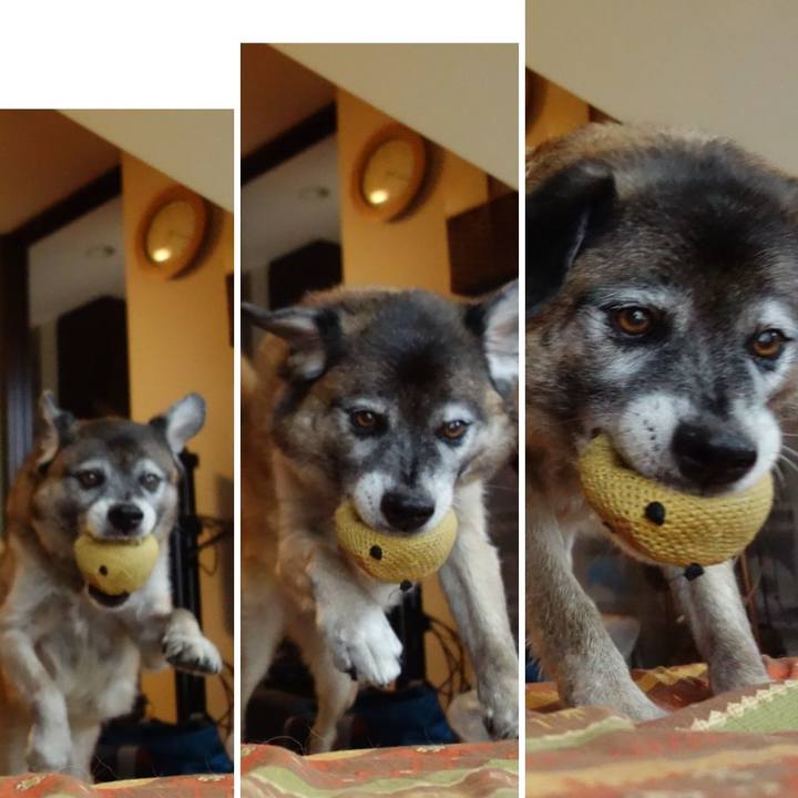 0f8d493e af15 49c9 90b3 c9134b02e7f8 1533946819607