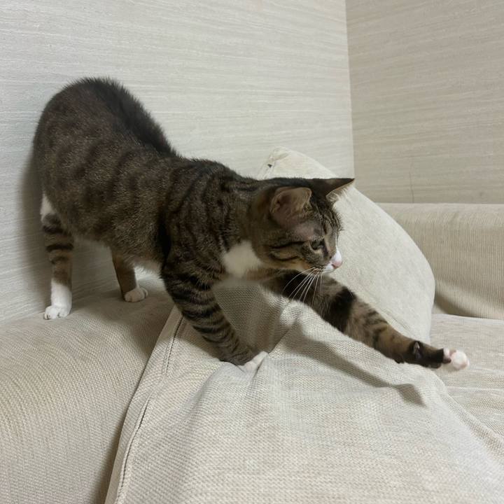 0f8d60ab e949 4a1e 86c3 c4137c6b320a 1760530600863