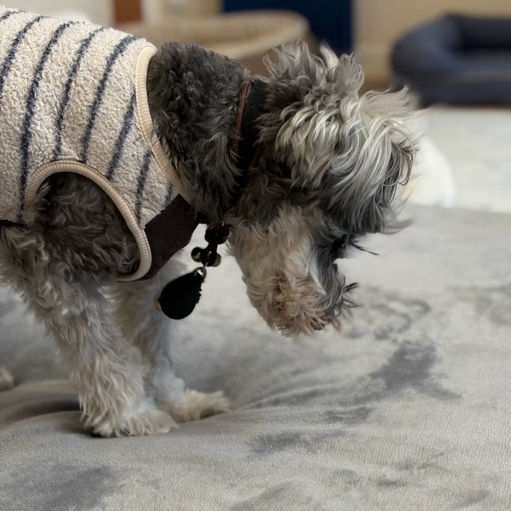 0f8d916a 747f 4a5c ae50 e823004b0b41 1769828335810