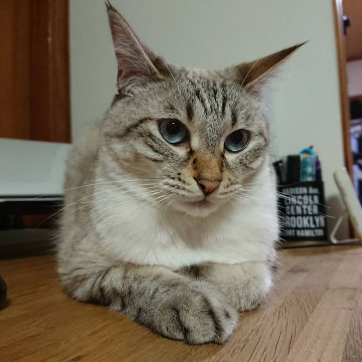 0f8dc269 dbf5 4f3c 922d be2c1b8bebfe 1596806826641