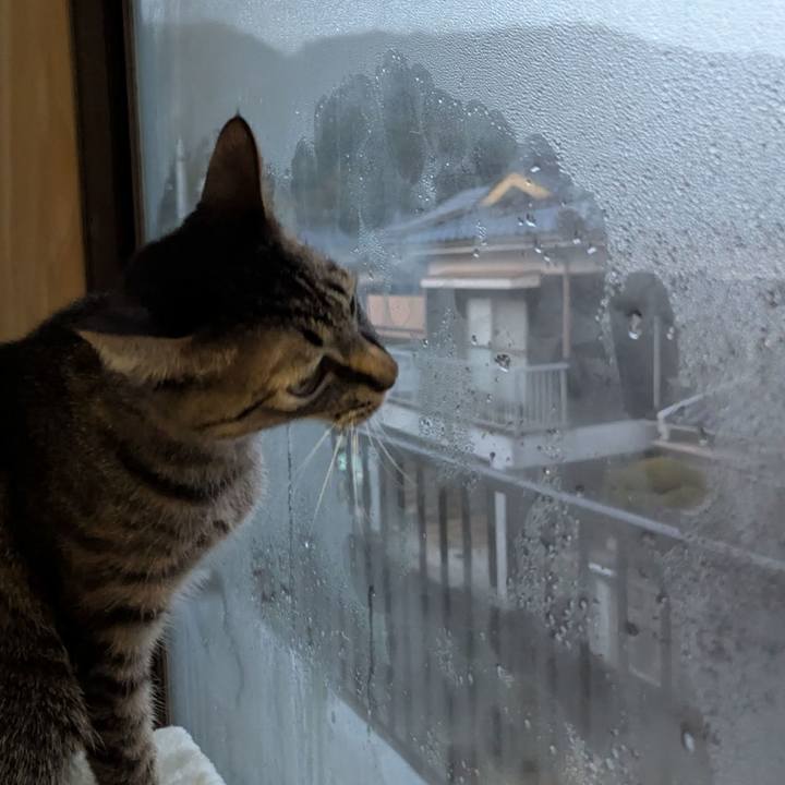 0f8e2e28 baa3 4ee2 a433 b906706355ec 1736755335421