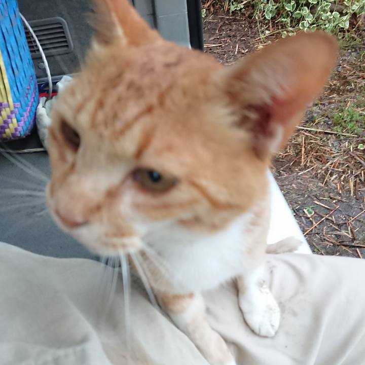 0f8e448e bee2 47f0 ae7a 1a0c933e9a84 1595623702393