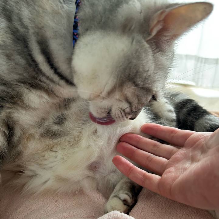 0f8e5ed9 a8a5 4e74 96cf a83953dffa64 1763166806483