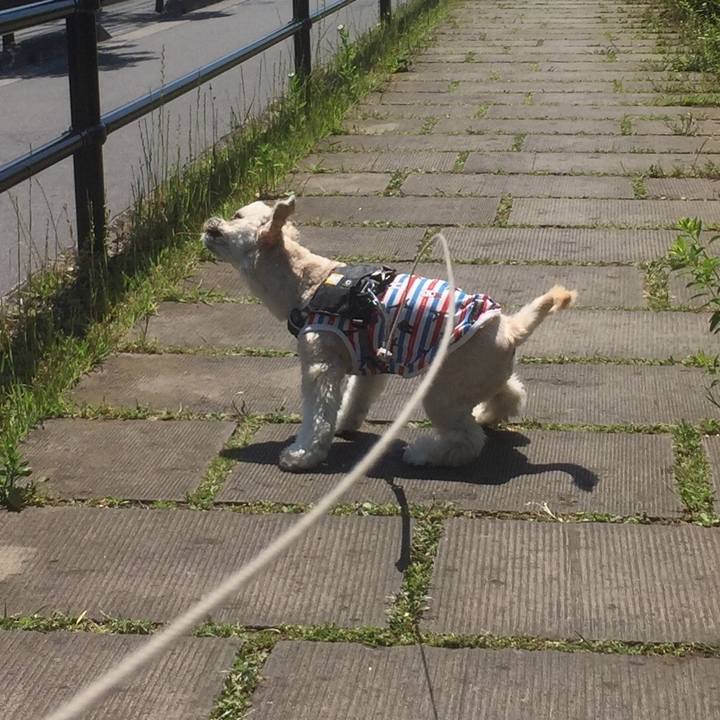 0f8e5fc6 e7cc 48de 827a d0c516d12b2f 1558772632612