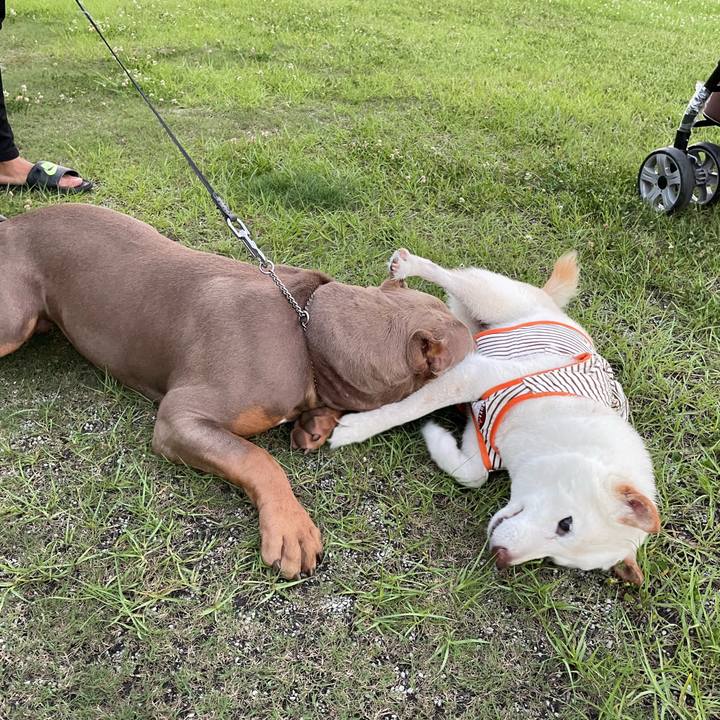 0f8e726b 7f12 4aef 8fa1 c23b2cc2fbbe 1656685494274