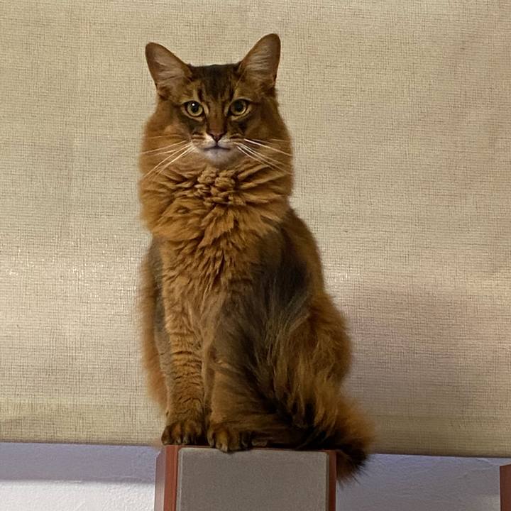 0f8e73ec b7a1 4c03 ac07 44119dfbd1f4 1645086167533