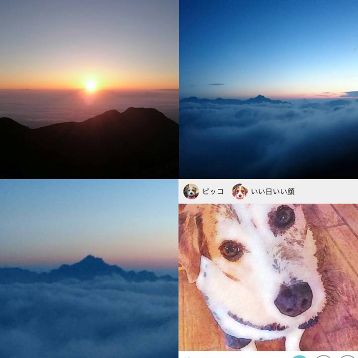 0f8e88d4 f4ba 4834 ab10 6596793c64bb 1512004712353