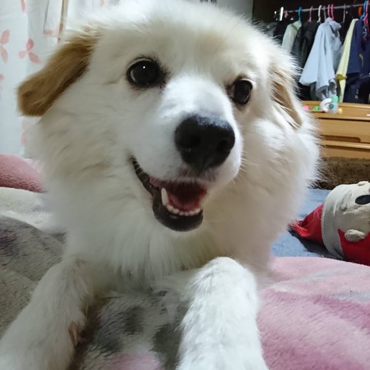 0f8ea0a6 3b02 47a6 9da7 9aff5eaae851 1535971381306