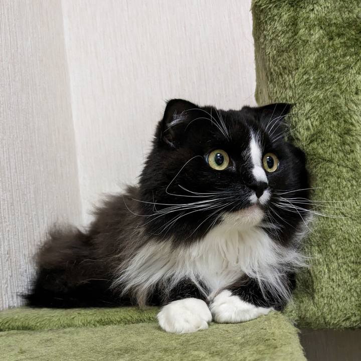 0f8eba75 f168 4d22 9b80 6b15090e5cf6 1677238997590