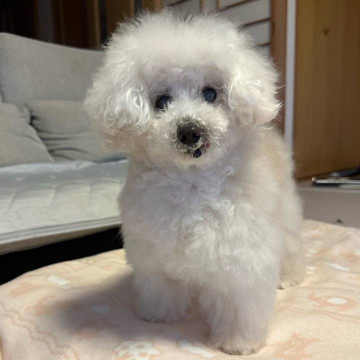 0f8ec5a7 0723 4d3b a100 cb59d64666e5 1699142914521