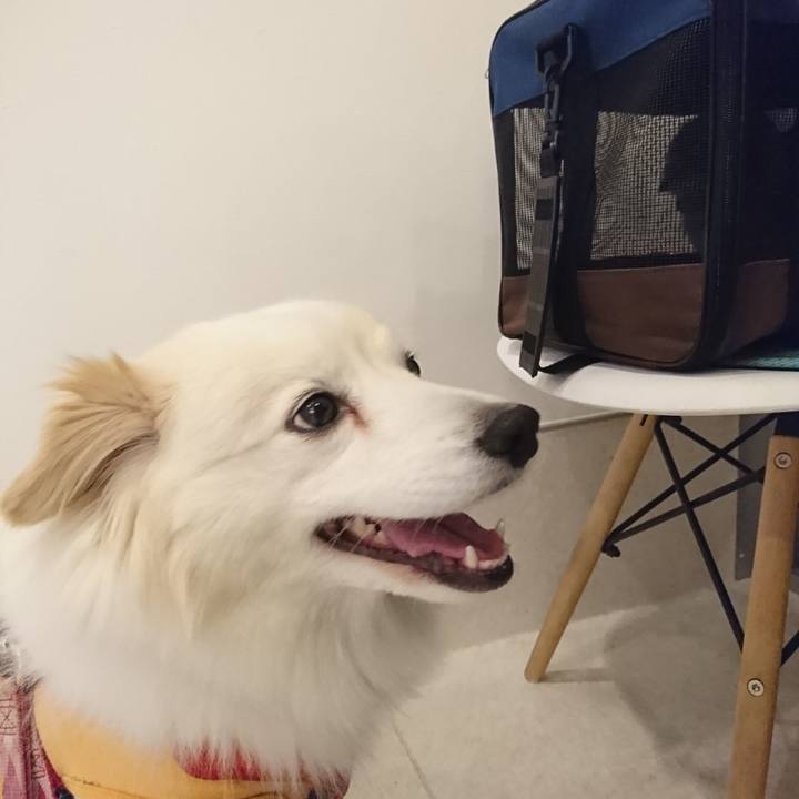 0f8ec7d7 6d97 48d2 9029 b609af3a3312 1558523431138