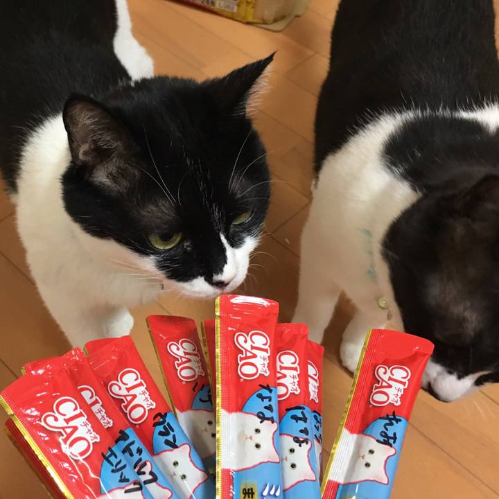 0f8edbec 0322 4362 865b 3f7830172d16 1514801864654