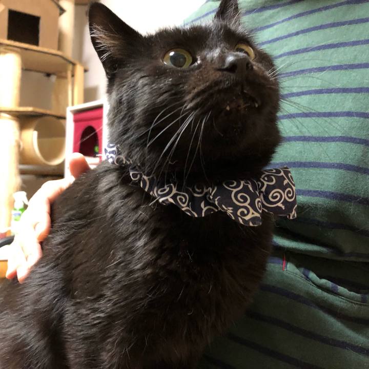 0f8f04ae 06ca 44da 98c4 1c41b532f6cd 1586269553146