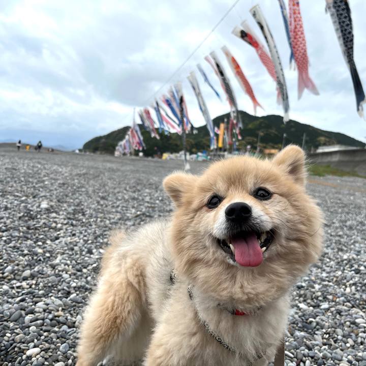 0f8f50d0 fc62 4fed b353 41ffbb48a52a 1683297310200