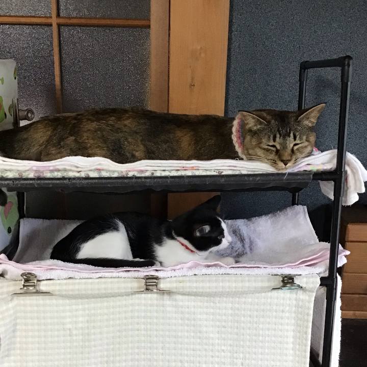 0f8f5c86 20f6 4467 986f 21414f915716 1626937469812