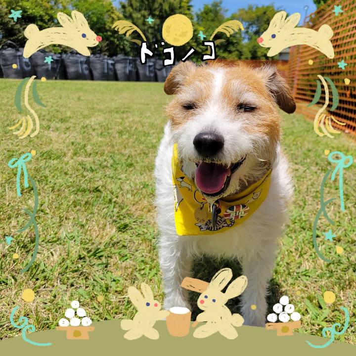 0f8f861c dc51 489f 80a2 ade9d7f5f9b7 1726869832716