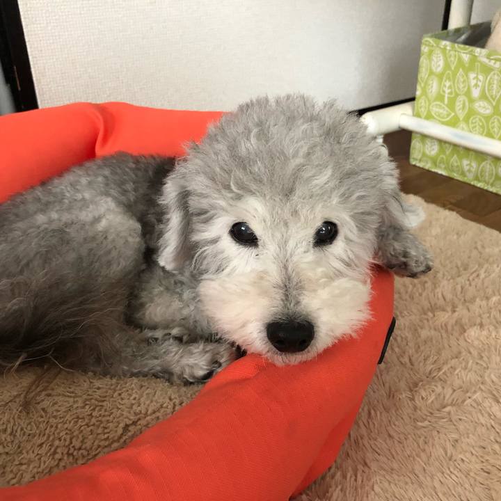 0f8f8d01 516d 47d2 b8d0 5395aee323bf 1560121329146