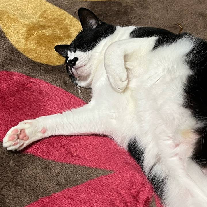 0f8fb84d a653 4699 a529 ebb32b9e24ba 1775998034035