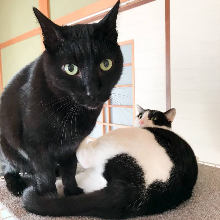 0f8fd7e6 78c4 467d b6e8 b7b39e6034c0 1519868478700