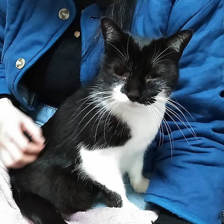 0f8fe616 73bf 4ef4 b17e 25caf659c65f 1554303072489