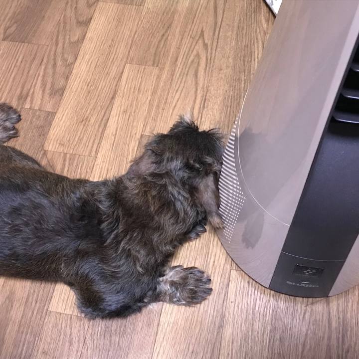 0f901e47 e1cf 4000 9290 6d52f689c423 1530629019214