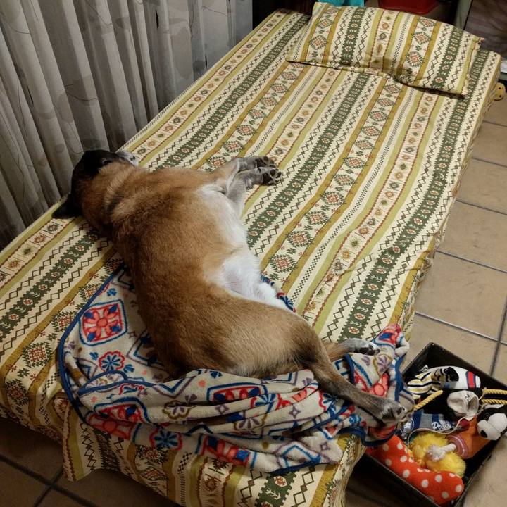 0f902ef5 1931 4955 97b8 fb653ee98f54 1539268520713