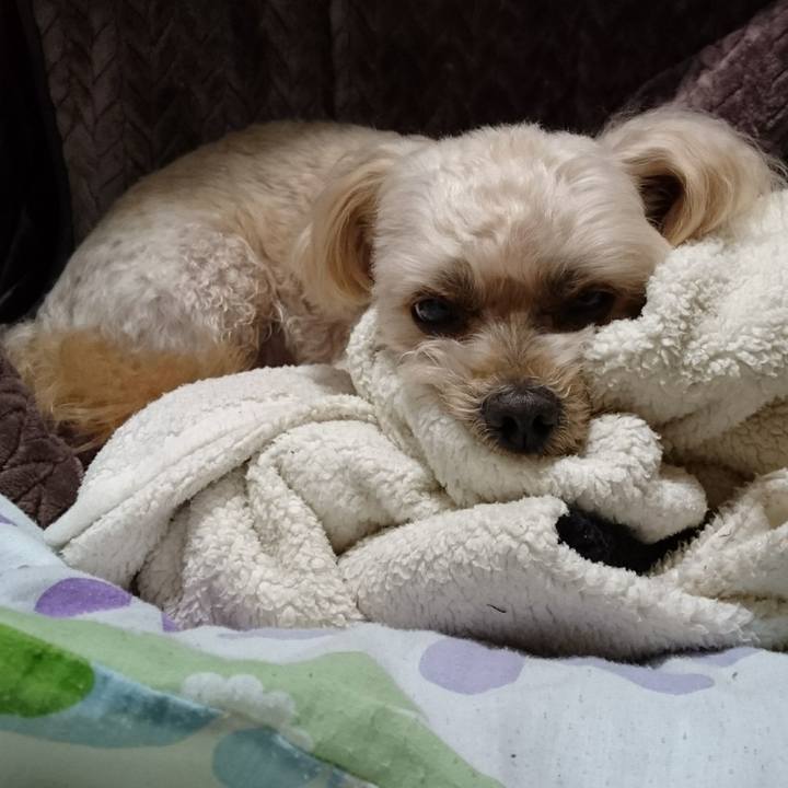 0f905ddf 65fe 4aec 847a d7276d3427e5 1604756282252