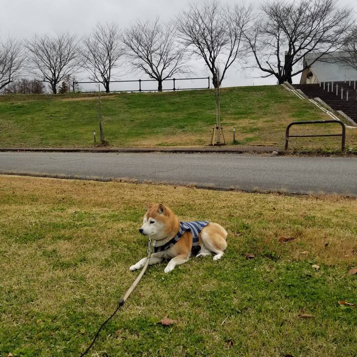 0f9072b3 1b94 494a 9ac6 030439a1068e 1670219977234