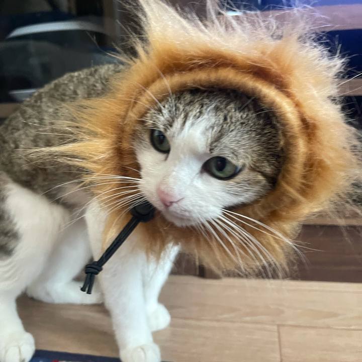 0f907dcf 725b 4deb a762 cd2a3d40e1ac 1630293947775