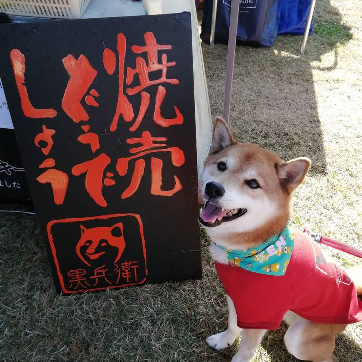 0f90ac82 bac3 48f7 bd81 b6ec2ac6b4bb 1667912065784