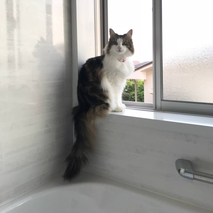 0f90c9a8 06e9 4891 b32a 0e781290d88c 1527410954473