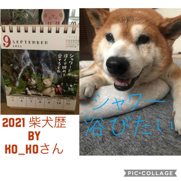 0f90d082 8b81 49f5 8fff 71fe869c3673 1599721343649