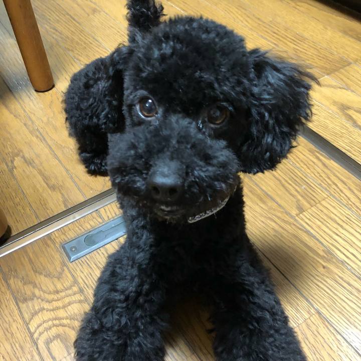 0f911bf0 53d1 446e ac4f 109269419584 1525081488843