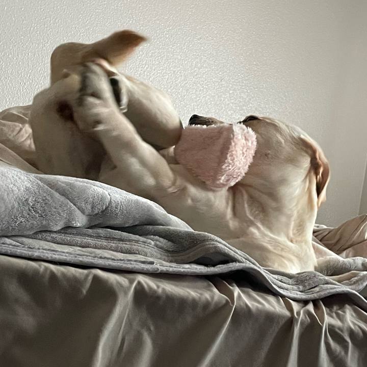 0f915160 5ca3 48db 8575 937dc0699b8a 1641270774840