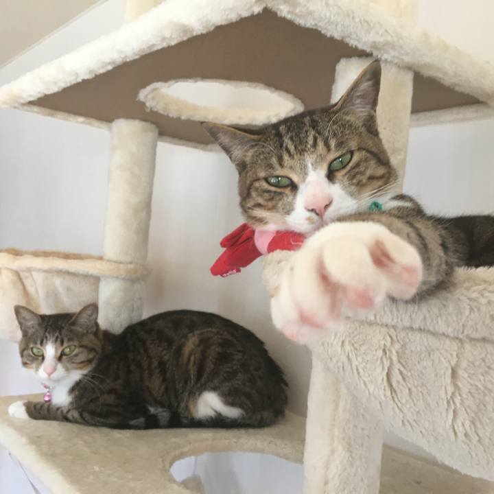 0f91604c 01b0 44b1 9ceb 7b39654b6e83 1690754549630