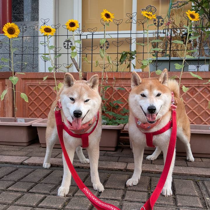 0f91a145 3332 4d9b b2ec 028d3ce2d04a 1756696406832