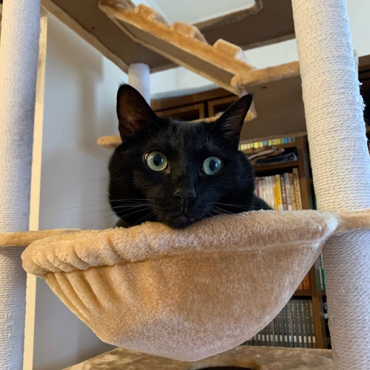 0f91ccee c205 4ad0 b97c 7a18eb8ef6e0 1601956469964