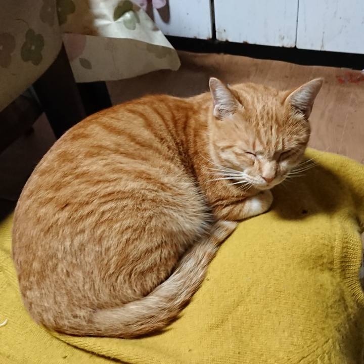 0f91d5d7 7bbe 4dea 9399 3481777b853b 1571101408278