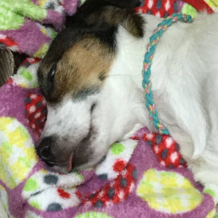 0f91facc a512 41da 8ed2 3013a7eb9a8d 1509102506545