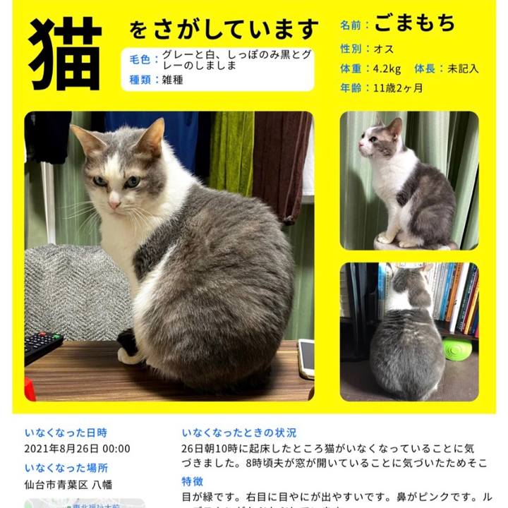 0f920bfd 4672 40e3 96db 0c90ce828107 1629977269629