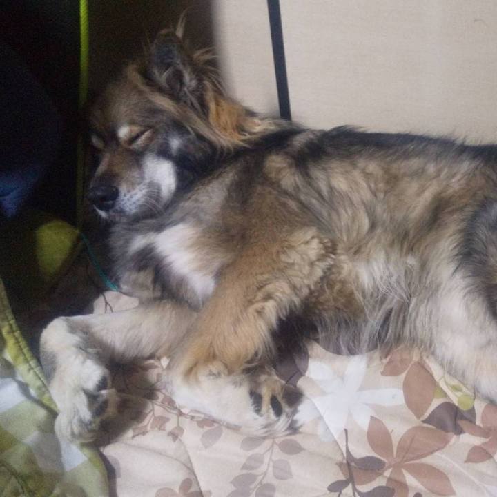 0f928a33 e866 42ca 8596 d4941f1487b7 1609648620678