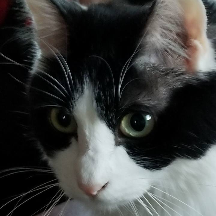 0f92a1c6 9f3b 4a87 ba8b 5be78219ad98 1548507800812