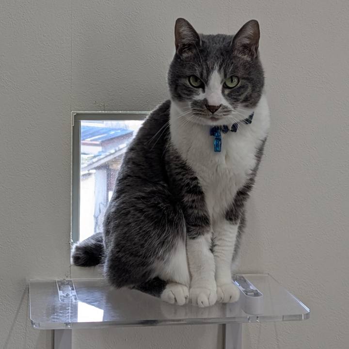 0f92c56f b38d 4e4d 8225 98cf5242d0eb 1773718600652