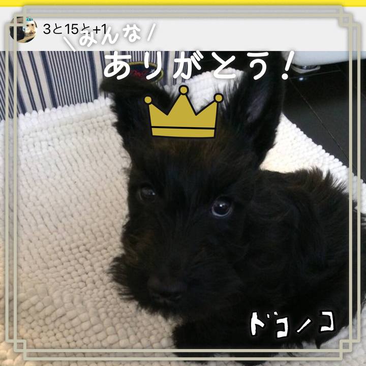 0f931ce7 e78e 440d a101 f882b89b4a03 1622868170486