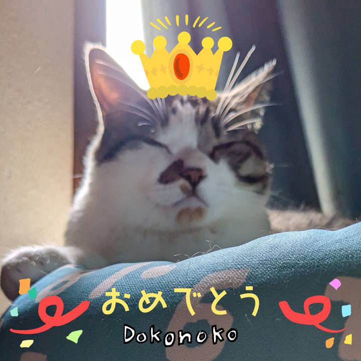 0f93403a 677f 4d20 ba4e dea985d9f66e 1685962011640